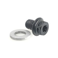 SOMOTO台灣製造【光陽/三陽】M8齒輪油注入孔螺絲 附墊片 白鐵/鍍黑/鍍鈦 JET/雷霆/G6/VJR, 鍍黑化, 1個, 鍍黑化