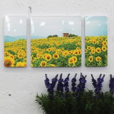 ts693-폼아크릴액자3P_오두막과해바라기