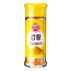 오뚜기 강황 가루, 48g, 1개