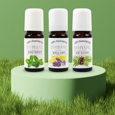 내옆채움가게 100% 에센셜오일 10ml 방향제오일, 상쾌한페퍼민트