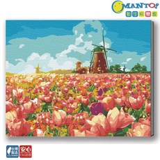 MANTO!數字油畫 大尺寸50x65cm 釘好內框 櫻花富士山風景 居家裝飾 療癒繪畫, 荷蘭鬱金香花園, 1套