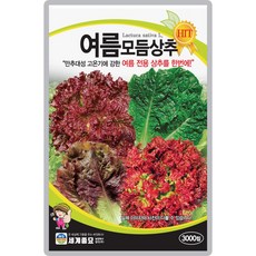 산들마켓 여름모둠 상추씨앗 3000립 여름재배 적합한 4종 모둠 상추씨 종자, 1개 1개