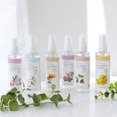 더허브샵 작고 귀여운 휴대용 섬유향수 11종 100ml 탈취효과 명품향기 공기 섬유 탈취제 와이셔츠 신발, 1