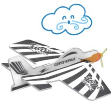 5set 360회전 곡예비행 부메랑 비행기만들기 학원 캠핑장놀이 어린이집 IQ