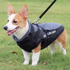 위즈아이 WI066DG 강아지 빅사이즈 하네스 패딩조끼, 1개, 차콜