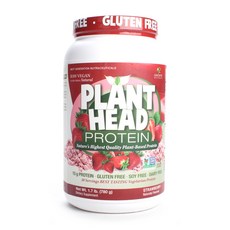 GENCEUTIC NATURALS 植物頭蛋白, 草莓, 780克, 1個