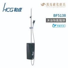 和成 HCG BF5138 沐浴除氯無鉛龍頭 (不含安裝), 1個