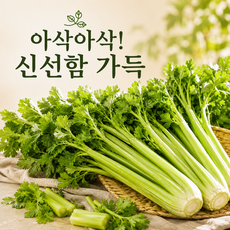 [만족도1위] 아삭아삭 신선함 가득 샐러리, 1박스, 1kg