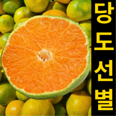 [제주직송] 고당도 귤 제주 감귤, 1세트, 3kg