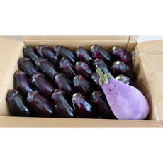 [산지 직배송] 쫄깃한 국내산 가지, 1개, 5kg