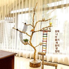 앵무새 놀이터 대형 횟대 새장 스탠드 장난감 펠렛 나무, 건조 가지, 1개