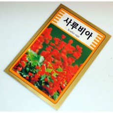 꽃씨 500 교재용 사루비아 spi9174ch, 1개