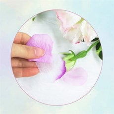 수담온 꽃잎조화 촬영소품, 연핑크