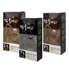 먹물머리 1분 새치염색약 순한 셀프 새치커버 염색약 (Araium), 02 A.6호(진한갈색)