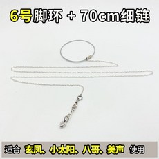 台灣發貨 統編 限時5折 鸚鵡腳鏈子小鳥腳環虎皮玄鳳牡丹腳圈牽引繩放飛繩子站架鳥鏈用品, 6號腳環+腳鍊（總長75cm）, 1個