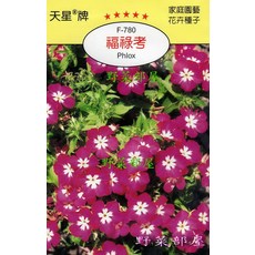 天星牌 福祿考Phlox 種子 (F-780) - 野菜部屋, 1包