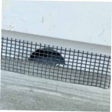 물구멍 방충망 스티커 패드 창문 틈새막이, 1개