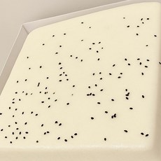 기정떡 기지떡 증편 1박스 1kg * 3장 3Kg 2대째 맛집 대용량 다진식품 고래술떡, 3개