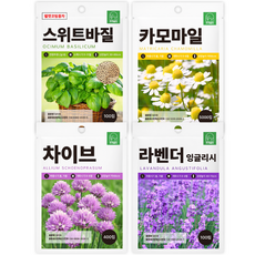 주주씨앗 허브씨앗 4종세트 스위트바질 잉글리시라벤더 카모마일 차이브 향신료 허브 종자 씨 씨앗 몰 꽃씨, 1개