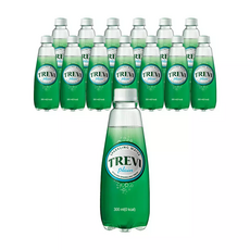 트레비 플레인 300ml 20개