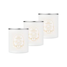 [본사공식몰] 피에브 에어워셔 고체 탈취제 냄새 제거 무향, 250g, 3개