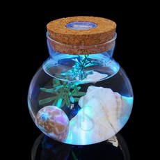 NAUM LED 코르크 유리병 10x11cm 마리모 키우기 수경재배, 1개
