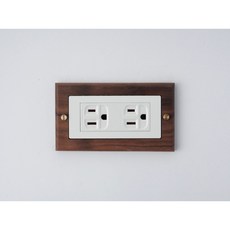 Panasonic國際牌 Risna系列 黑胡桃木開關插座面板蓋板組，多樣化配置，打造居家質感新風格, 1個, 附接地雙插座（白