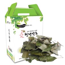 국내산 제주도 참가시나무잎 차, 60개, 110ml