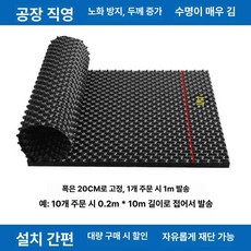 블루베리 원예 텃밭 과수원용, 1개