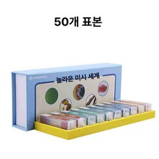 프레파라트 48종 표본 실험도구 식물 현미경 체험, 컬러 박스 유리 표본 50장, 기본 색상