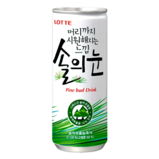 롯데칠성 솔의눈 240ml, 10개