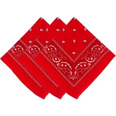 Funky Junque 100% 면 다목적 반다나 스카프 페이즐리 헤드랩 손수건 반다나/트러커 모자: 헤더 그레이/화이트 146034