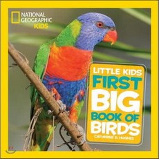 Little Kids First Big Book of Birds: