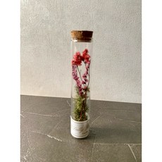 Sally 瓶中花 乾燥永生花束 玻璃瓶裝 軟木塞設計, 水晶花,都不加購