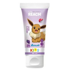 REACH 麗奇 寶可夢兒童含氟牙膏 60g 伊布款 葡萄香, 1個