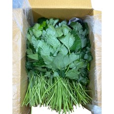 애초야 참나물 신선한 산지직송 당일수확 제철 신선한 채소 국내산 1kg 2kg, (국내산) 참나물 1kg