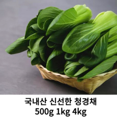 국내산 신선한 프리미엄 청경재 500g 1kg 2kg 국산 최상품 청경채 가정용 업소용 싱싱한 청경채, 1개
