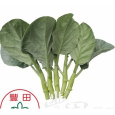 【野菜部屋~】帝寶芥藍種子 H32 中包裝 耐熱 耐病, 1包