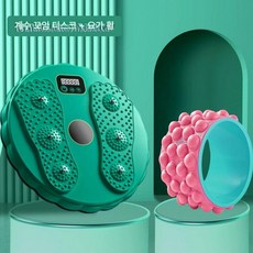 워리픽 허리돌리기운동기구 회전 전신 홈트 운동 헬스, 1개, 복부 허리 확장 콤보