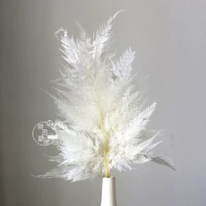永生蕨葉 不凋花葉材 花藝材料 婚禮佈置, 白色