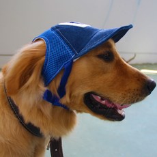 [앨리펫] G캡강아지모자, 브라운, 1개