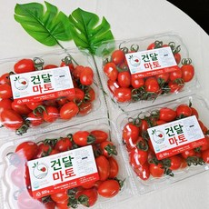 [설탕 무첨가] 스테비아 건달마토 천연 단맛 고당도 다이어트 간식 500g, 1박스, 1kg