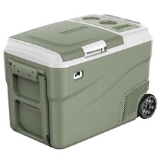 알피쿨 듀얼 온도 차량용 냉장고 DC30, 그린, 25L 그린, 25L