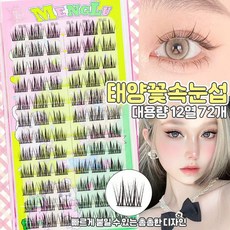 태양꽃 블랙 지지대 초보자용 3종혼합 악마 만화 인조 속눈썹, 1개, 쌍첨태양화