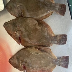 자연산 광어 4kg 국내산 손질 광어 4kg 손질 후 발송 산지에서 직송 발송, 1개, 국내산 광어 4kg (손질후 3kg내외)