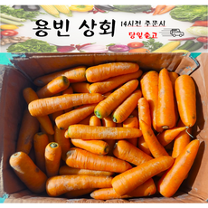 ( 용빈 상회 ) 국내산 당근 요리용 쥬스용 못난이상품 3kg 5kg 10kg 20kg내외(상세페이지 상단참고), 1박스
