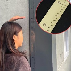 벽면 부착 신장 측정 스티커 투명 어린이 성장 기록 가정 유치원 어린이집 실내, 1개, 상세페이지 참조