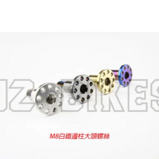 JZ BIKES 傑能商行 白鐵鍍鈦 邊柱螺絲, 1個