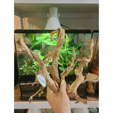 포도 나무 유목 20~30cm ( 파충류 양서류 유목 은신처 ), 1개