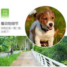單筒望遠鏡 高倍高清, 500型,看500米